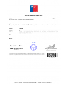 Änderung Markeninhaber (Rechtsnachfolge) Chile