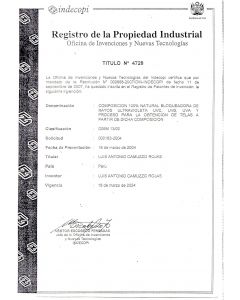 Verlängerung Design Patent Peru