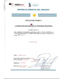 Änderung Markeninhaber (Rechtsnachfolge) Uruguay
