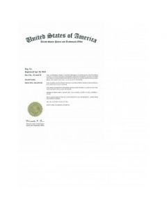 Section 8 declaration, Declaration of incontestability für Marke USA